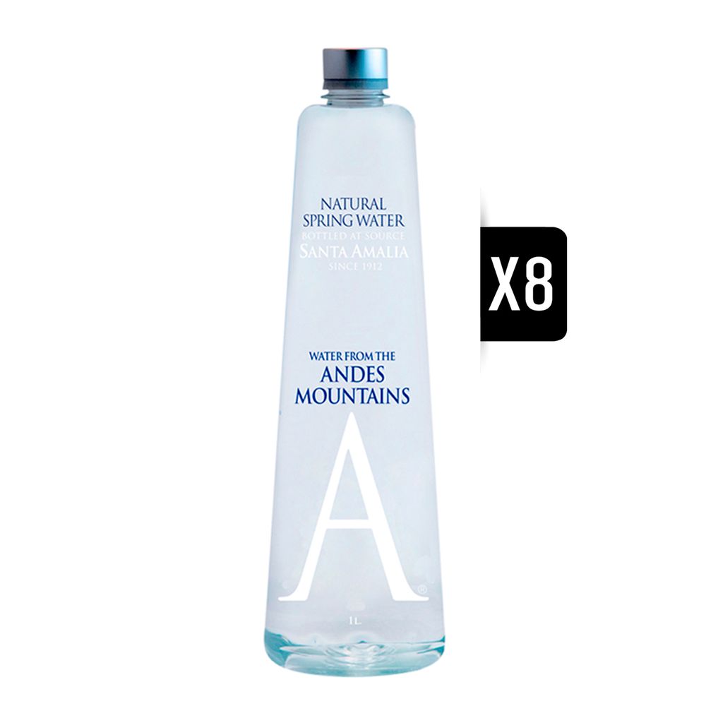 8x Andes Mountain Water sin Gas Pet 1000cc