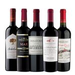 Pack-Papa-Filete-Lover-Errazuriz