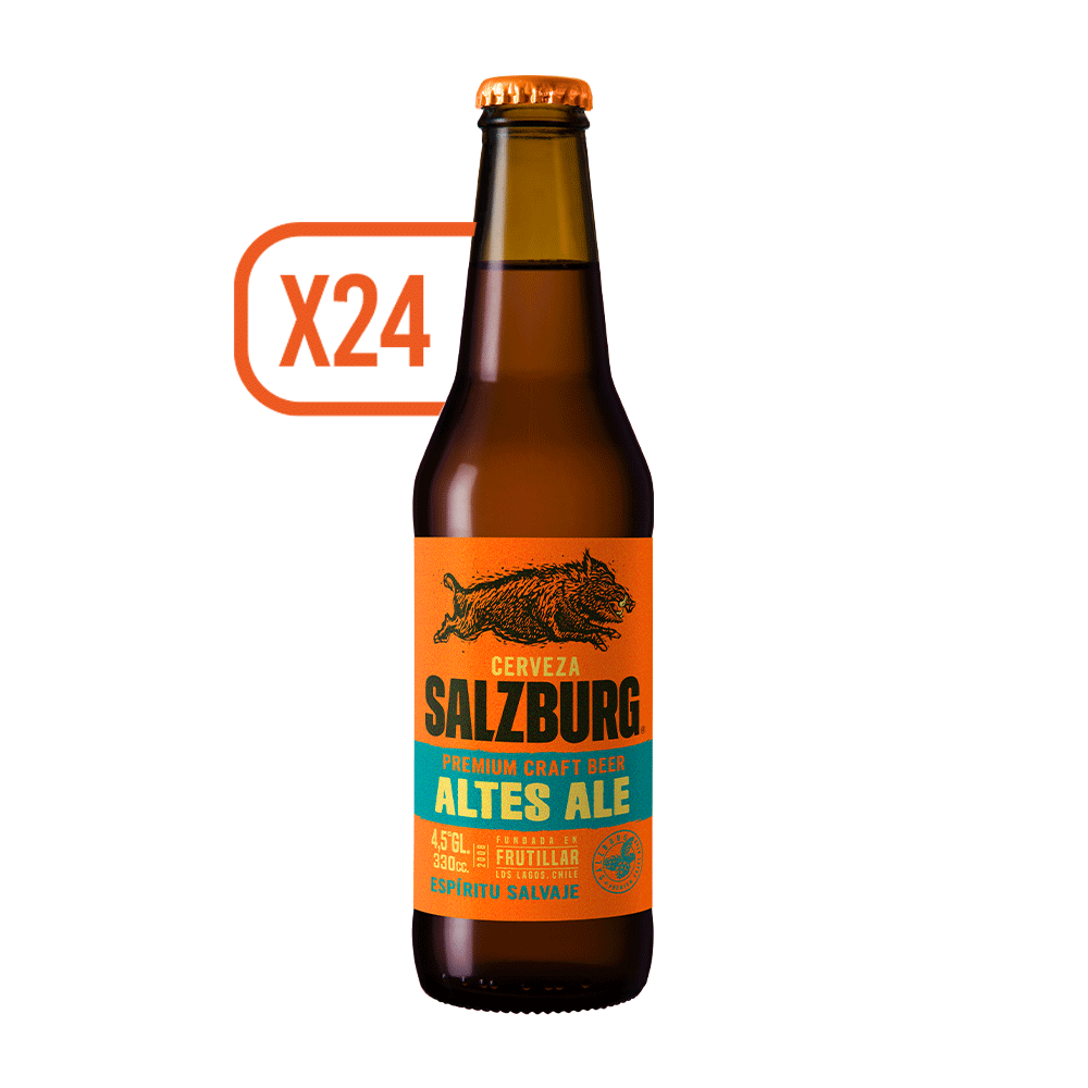 Pack 24x Cerveza Salzburg Altes 330cc