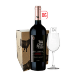 cabernet-x6