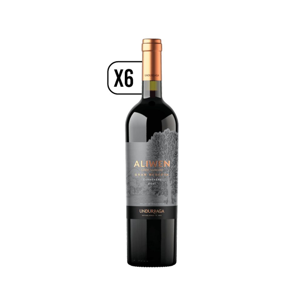 Pack 6x Vino Aliwen Gran Reserva Carmenere 750cc