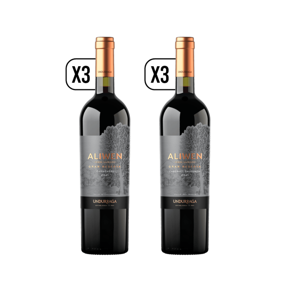 Pack 3x Vino Aliwen Gran Reserva Carmener + 3x Aliwen Gran Reserva Cabernet Sauvignon 750cc