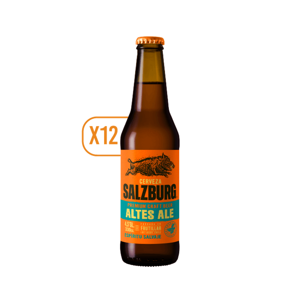 Pack 12x Cerveza Salzburg Altes Ale 330cc