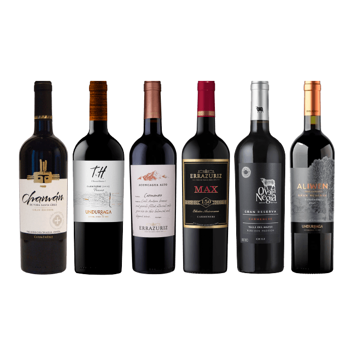 Pack Vino Especial Carmenere 750cc
