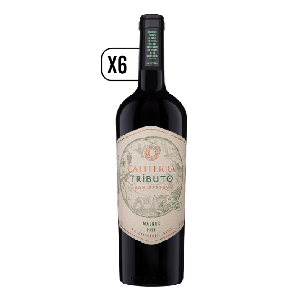 Pack Vino 6x Caliterra Tributo Malbec 750cc