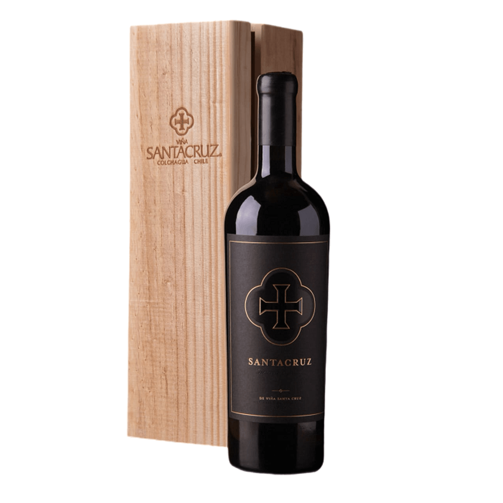 Vino Santa Cruz Ícono Petit Verdot 750cc