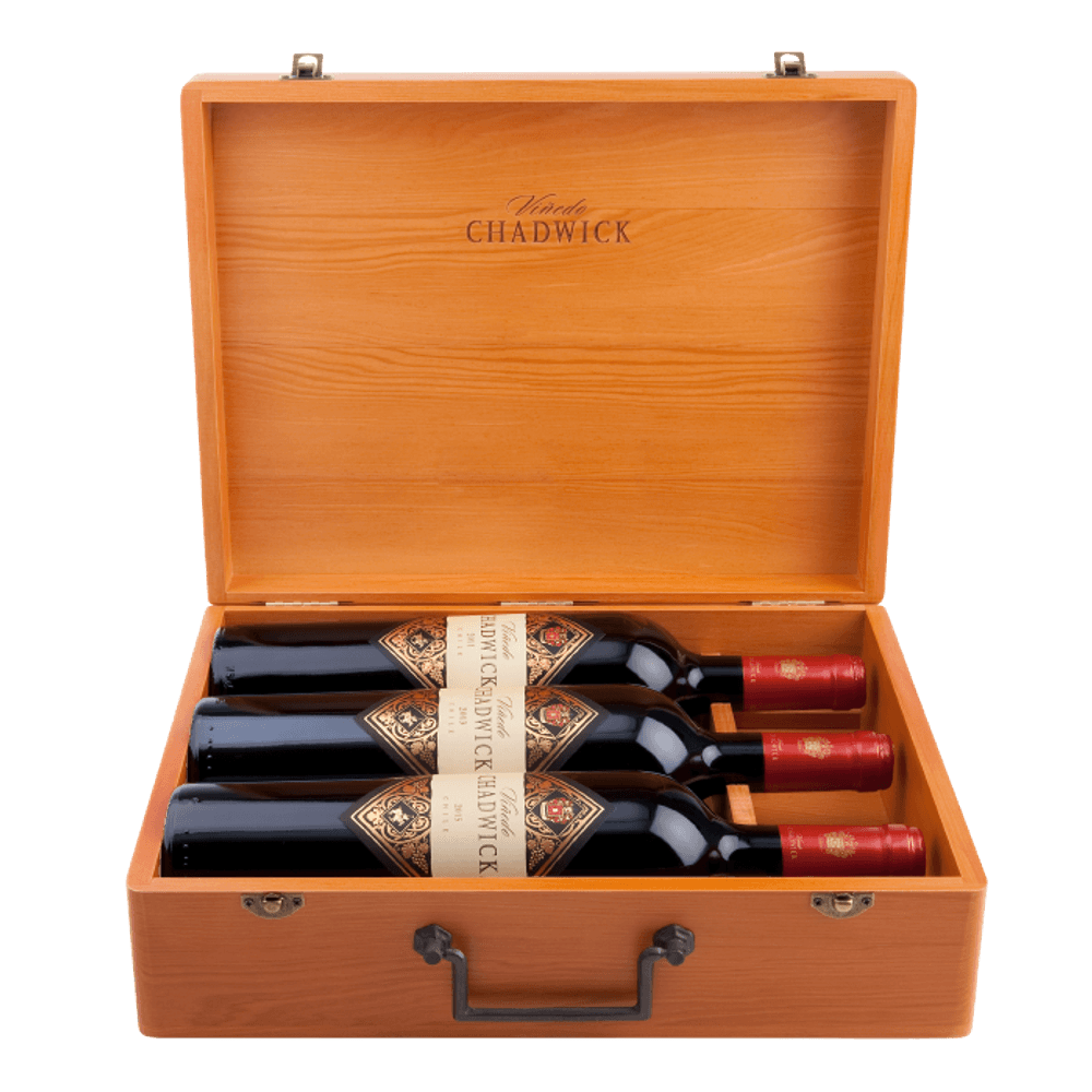 Viñedo Chadwick Vertical 2011-2013-2015 750cc