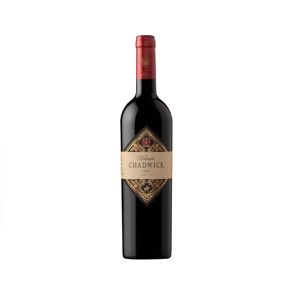 Vino Viñedo Chadwick 2022 750cc